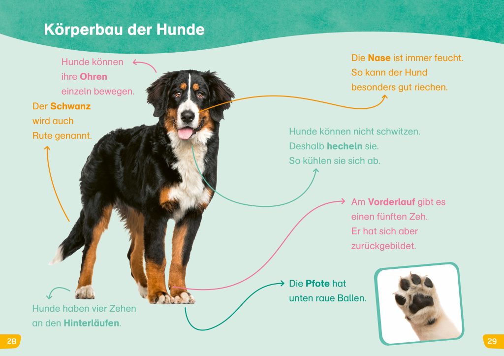 WAS IST WAS Erstes Lesen easy! Hunde – meine Lieblingstiere