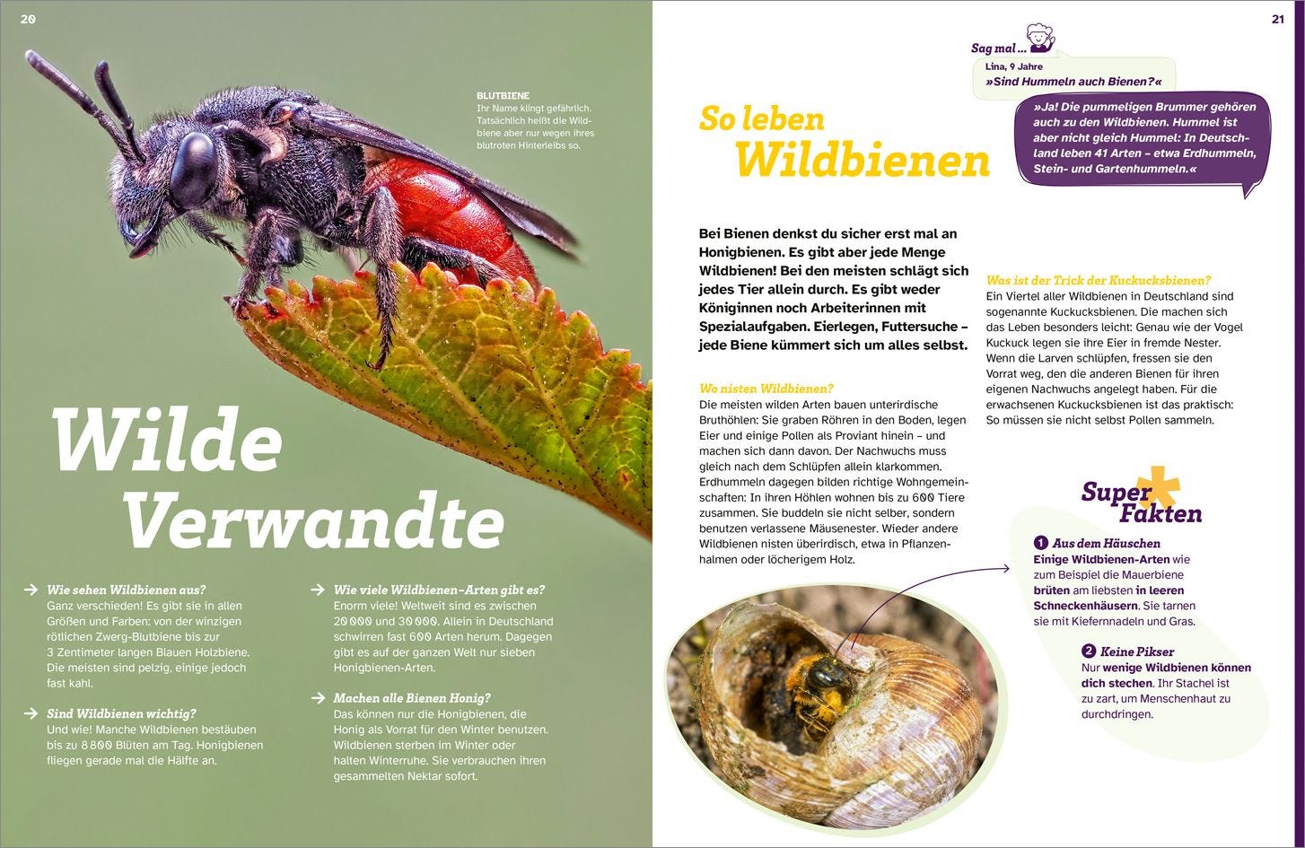 WAS IST WAS Bienen. Summende Genies