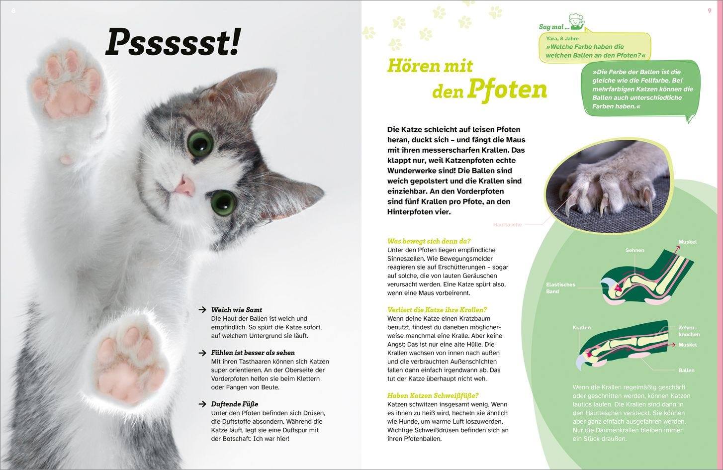 Buch Tessloff WAS IST WAS Katzen. Eigenwillige Schnurrer