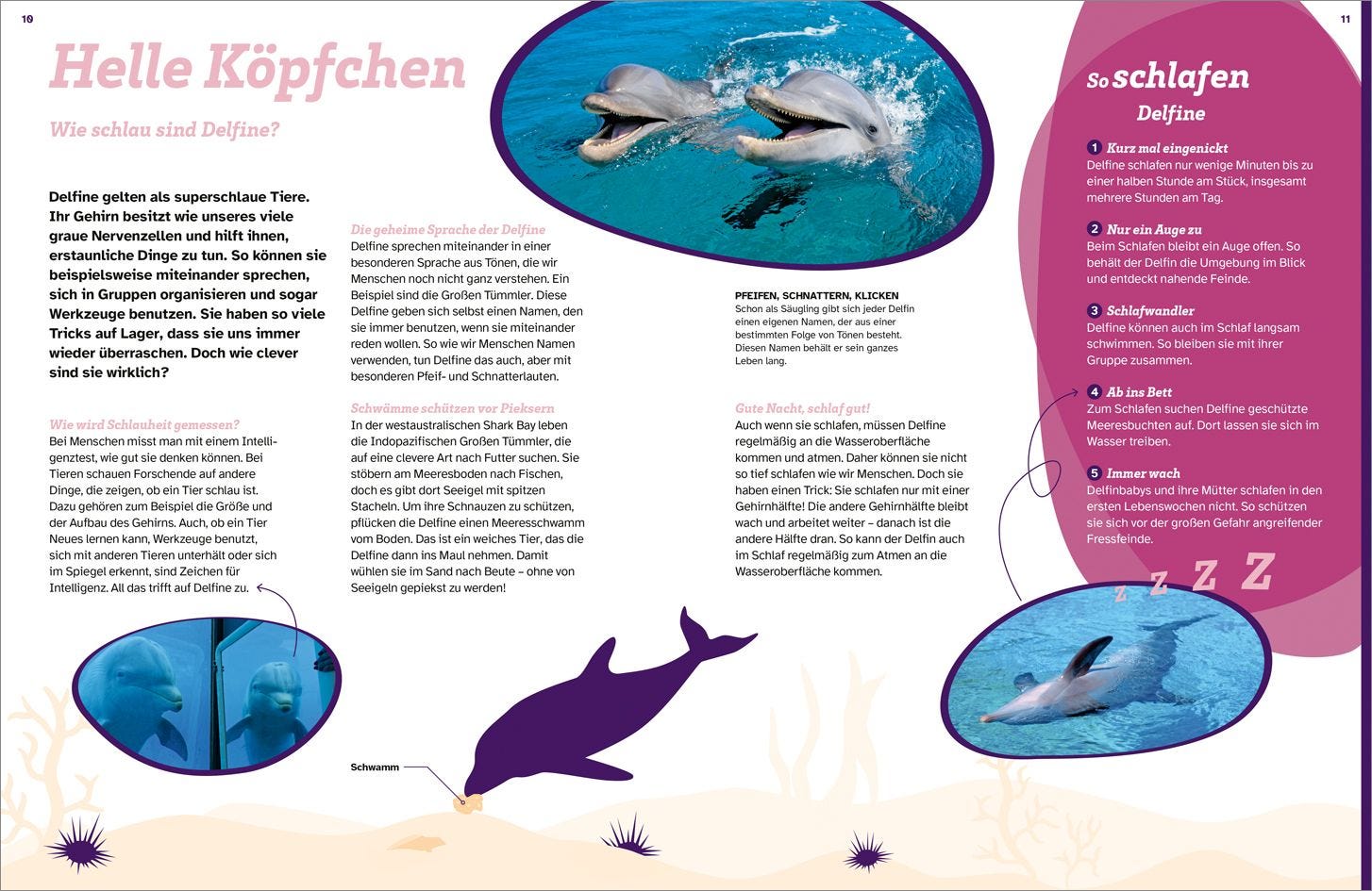 Buch Tessloff WAS IST WAS Delfine. Immer im Team