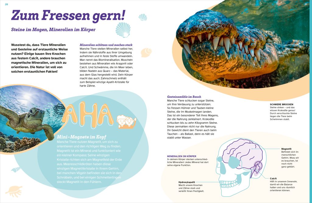 Buch Tessloff WAS IST WAS Mineralien und Gesteine. Schätze der Natur