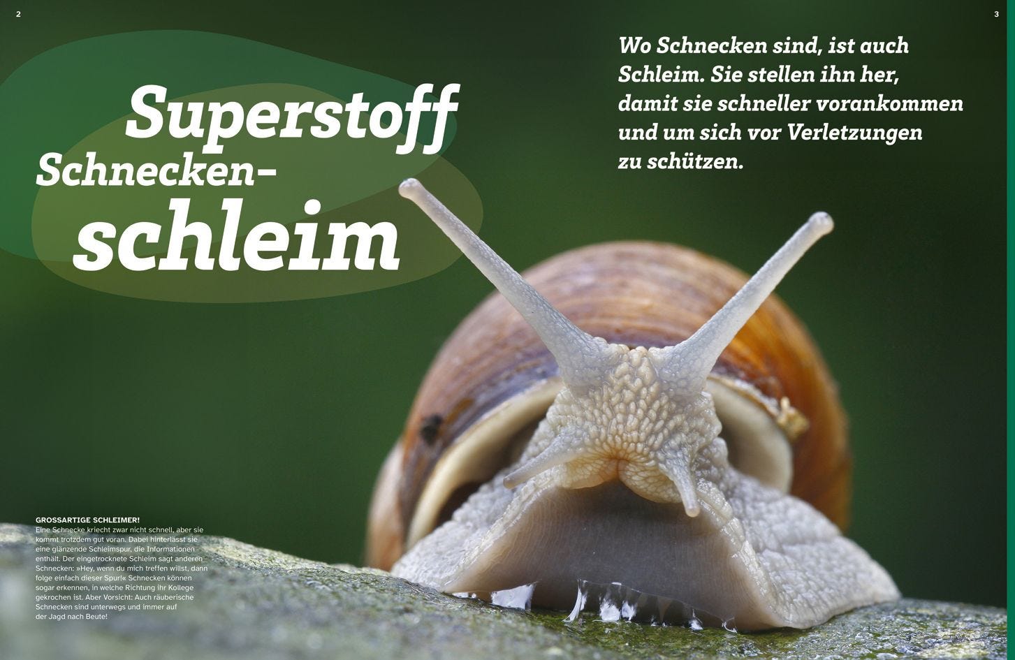 Buch Tessloff WAS IST WAS Schleim. Eklig? Nein, genial!
