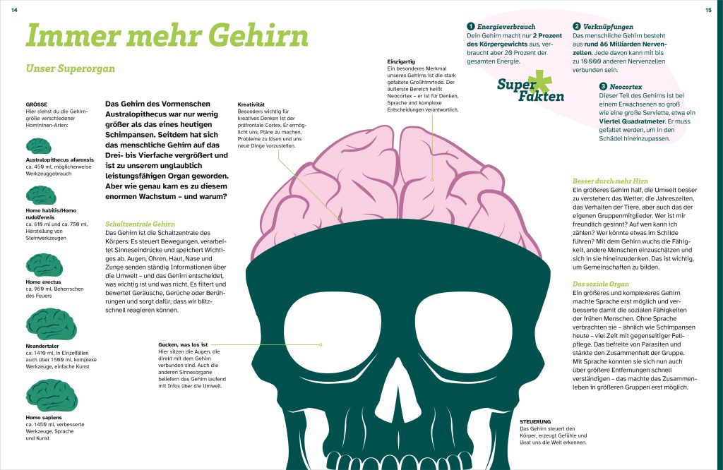 Buch Tessloff WAS IST WAS Der Mensch. Von der Steinzeit bis zu dir