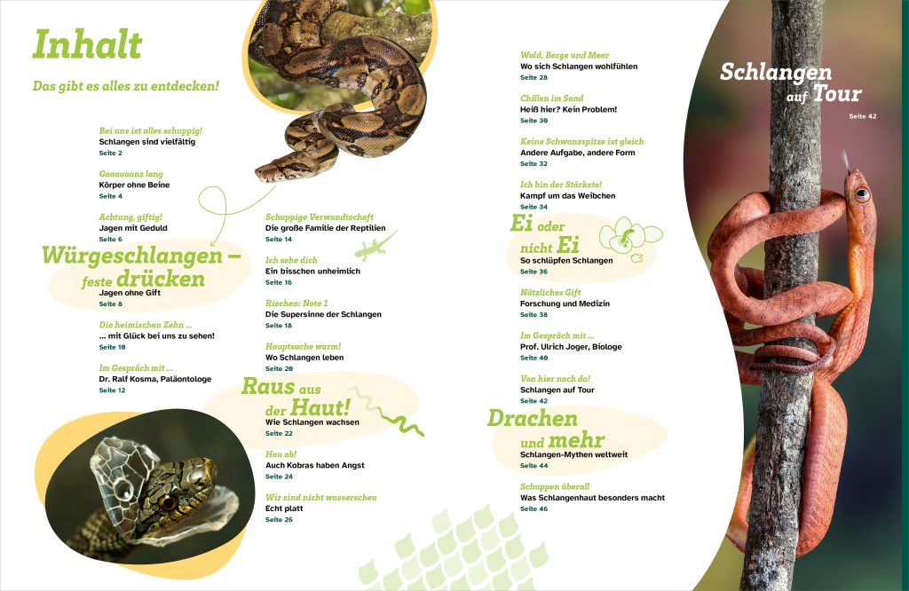 Buch Tessloff WAS IST WAS Schlangen. Schuppenhaut und Supersinne