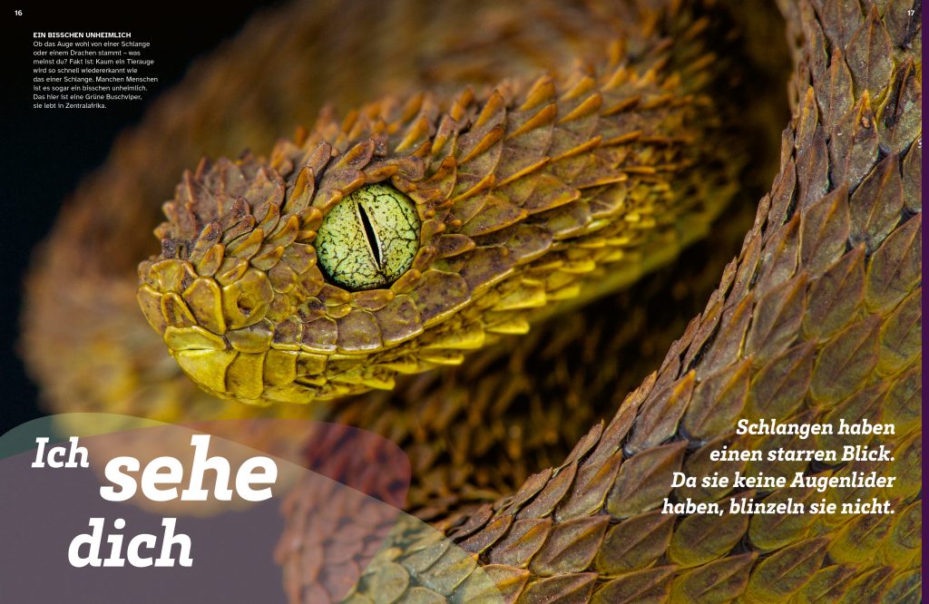 Buch Tessloff WAS IST WAS Schlangen. Schuppenhaut und Supersinne