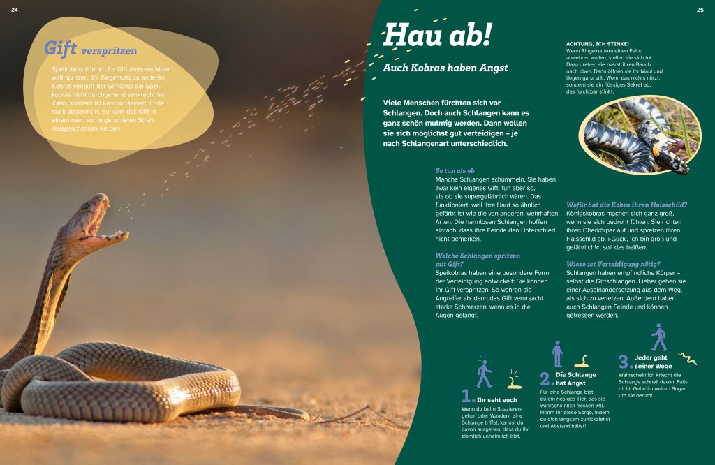 Buch Tessloff WAS IST WAS Schlangen. Schuppenhaut und Supersinne