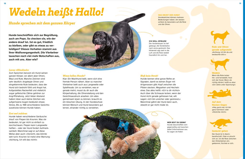 Buch Tessloff WAS IST WAS Hunde. Auf die Pfoten, fertig, los!