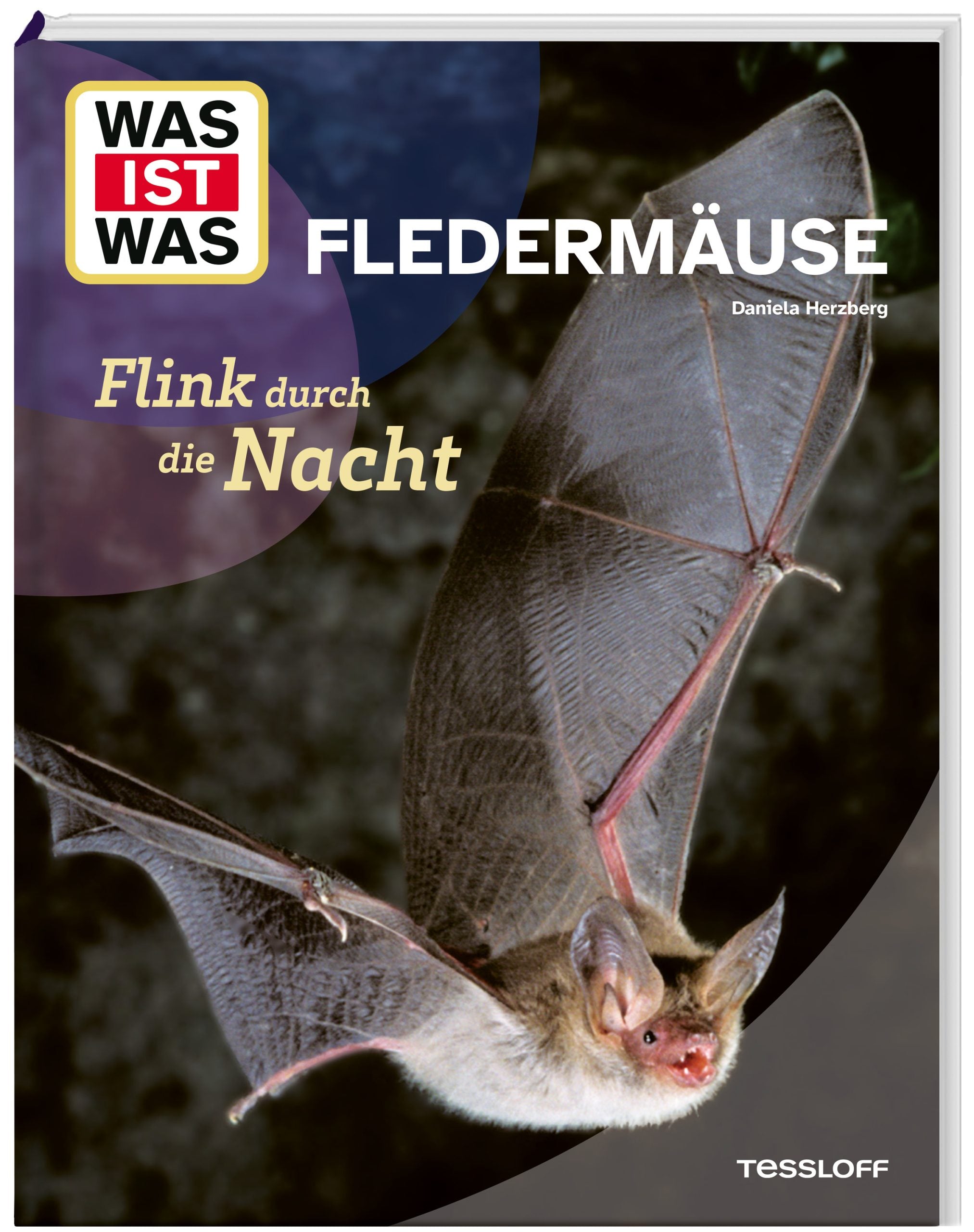 Buch Tessloff WAS IST WAS Fledermäuse. Flink durch die Nacht
