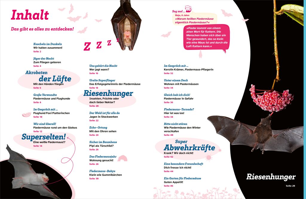 Buch Tessloff WAS IST WAS Fledermäuse. Flink durch die Nacht