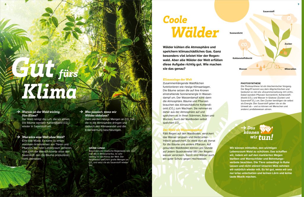 WAS IST WAS Der Wald. Zwischen Blättern und Zapfen