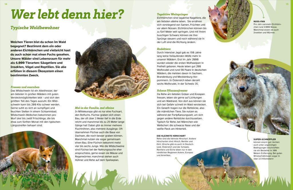 WAS IST WAS Der Wald. Zwischen Blättern und Zapfen
