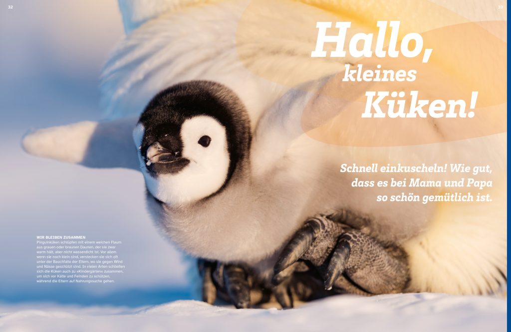 WAS IST WAS Pinguine. Immer cool drauf