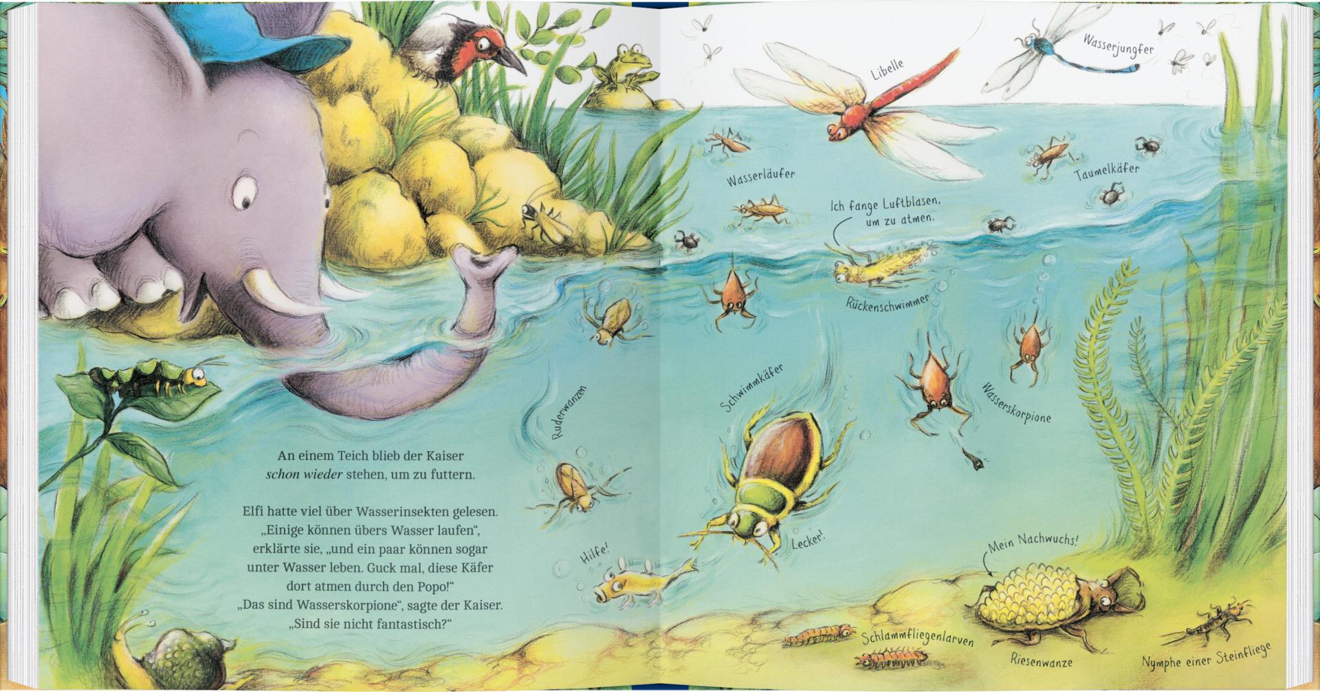 Kinder- und Jugendliteratur Gerstenberg Verlag Elefantin Elfi, die Insektenforscherin