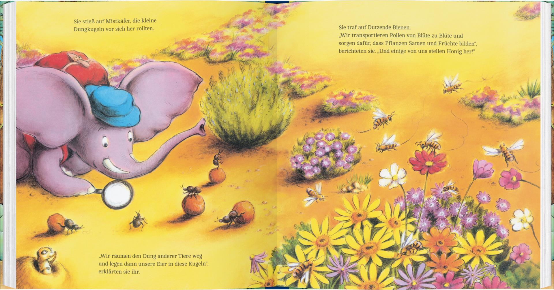 Kinder- und Jugendliteratur Gerstenberg Verlag Elefantin Elfi, die Insektenforscherin
