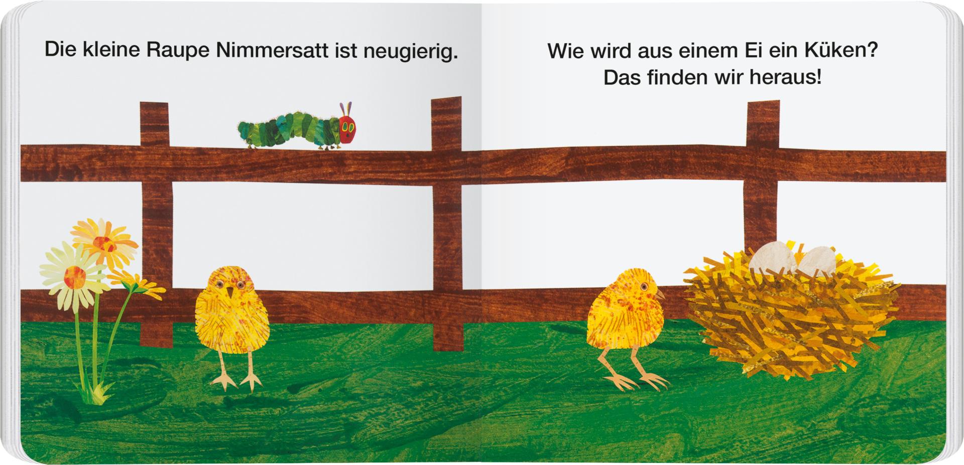 Buch Gerstenberg Verlag Vom Ei zum Küken