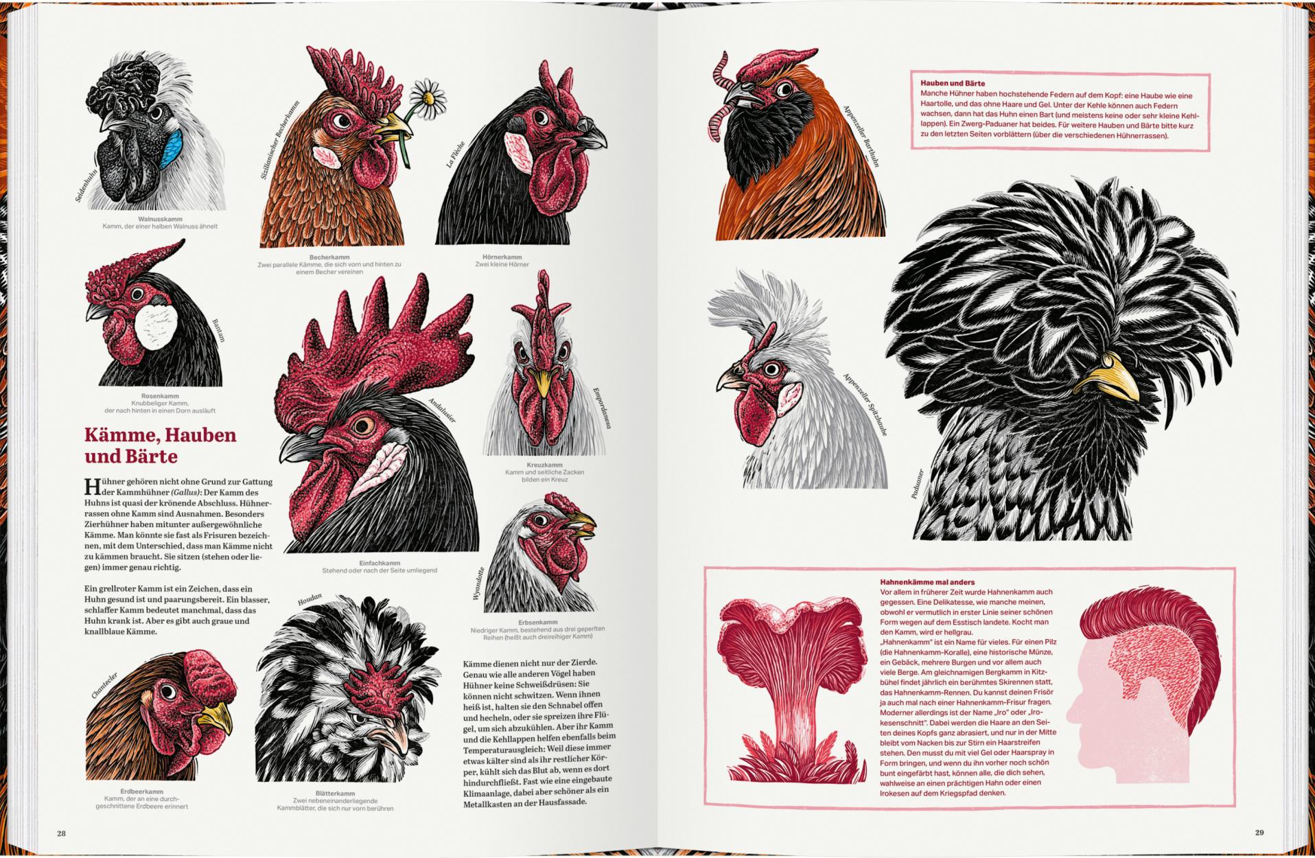 Sachbuch Gerstenberg Verlag Das große Buch der Hühner