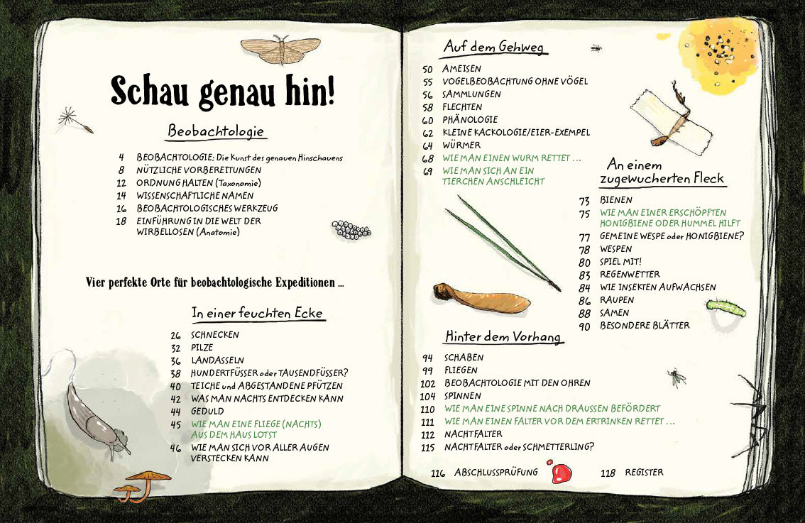 Schau genau hin
