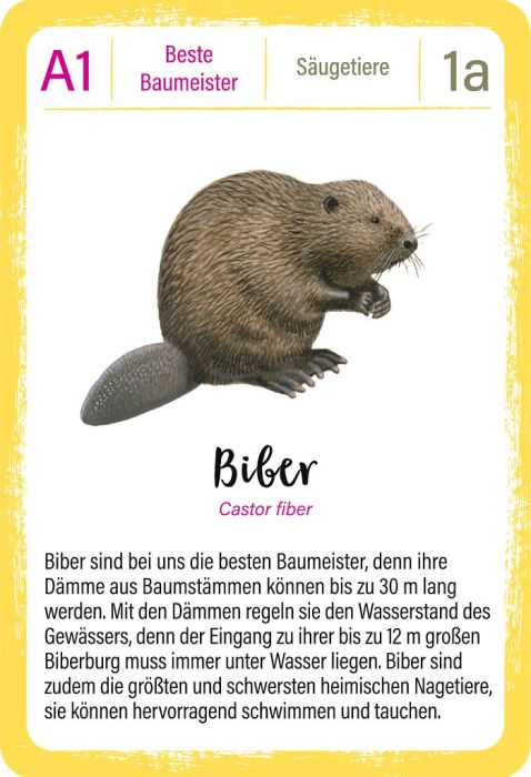 Moses 50 Karten / Pocket Quiz Moses Verlag Expedition Natur - Quartett: Tierrekorde