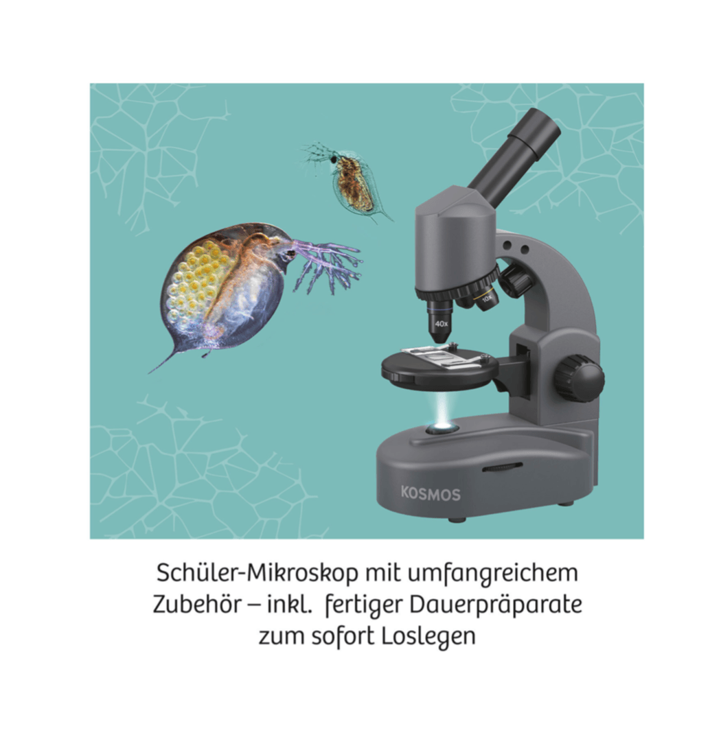 Biologie KOSMOS Mikroskop