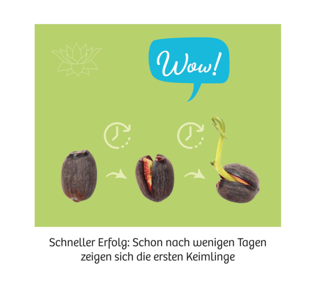 Biologie KOSMOS Lotus-Blume