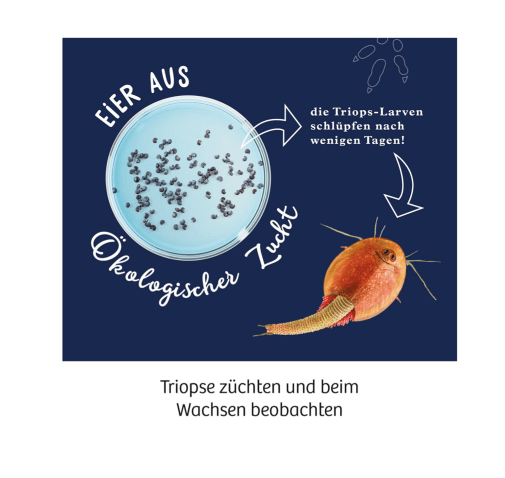 Experiment KOSMOS Fun Science Trips züchten