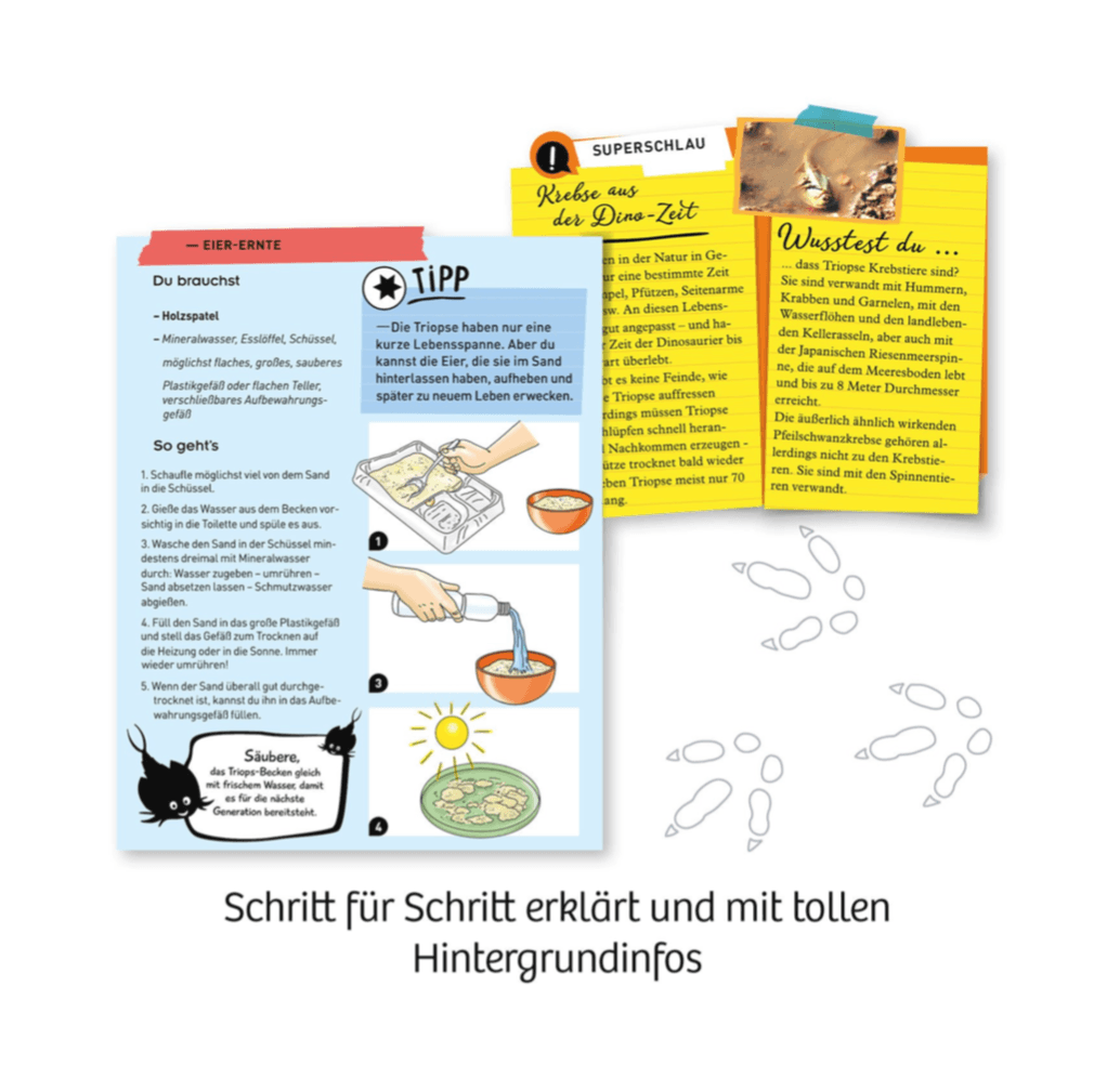 Experiment KOSMOS Fun Science Trips züchten