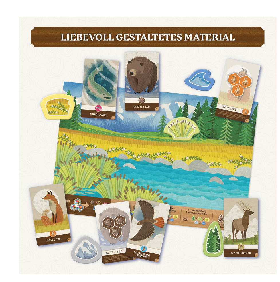 Gesellschaftsspiel KOSMOS Cascadia Junior