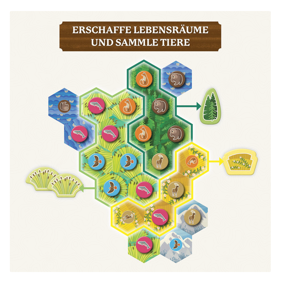 Gesellschaftsspiel KOSMOS Cascadia Junior