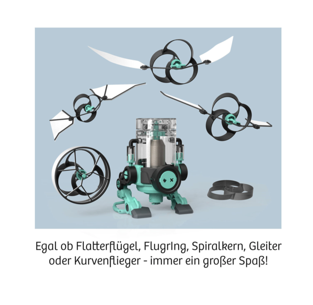 Experiment KOSMOS Flybots