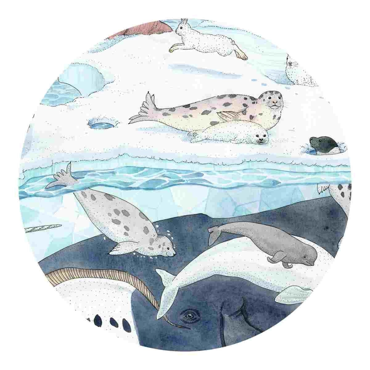 Puzzle: Polarmeer 54 Teile