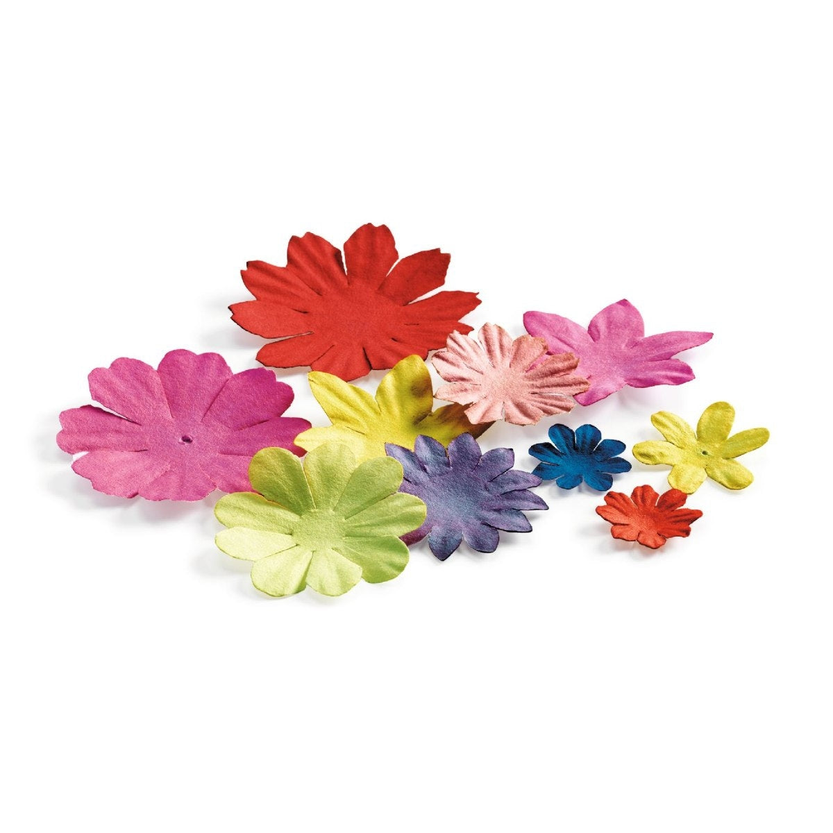 Malen DJECO Inspired by: Frida Kahlo