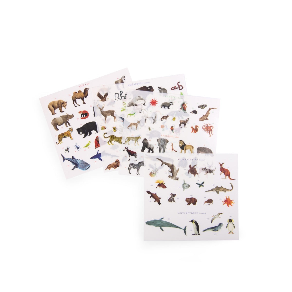 Malen Moulin Roty Weltkarte mit Rubbelbildern