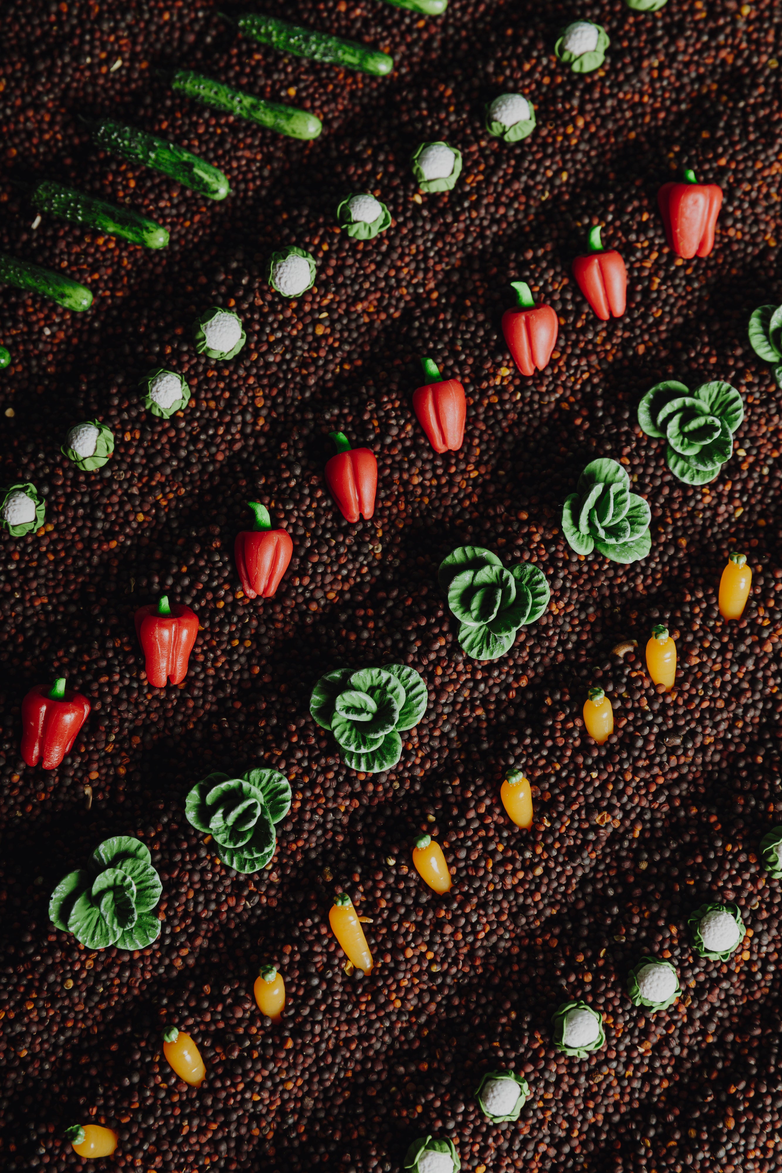 Greifen & Rasseln Petit Boum Petit Boum: Learn Bottle