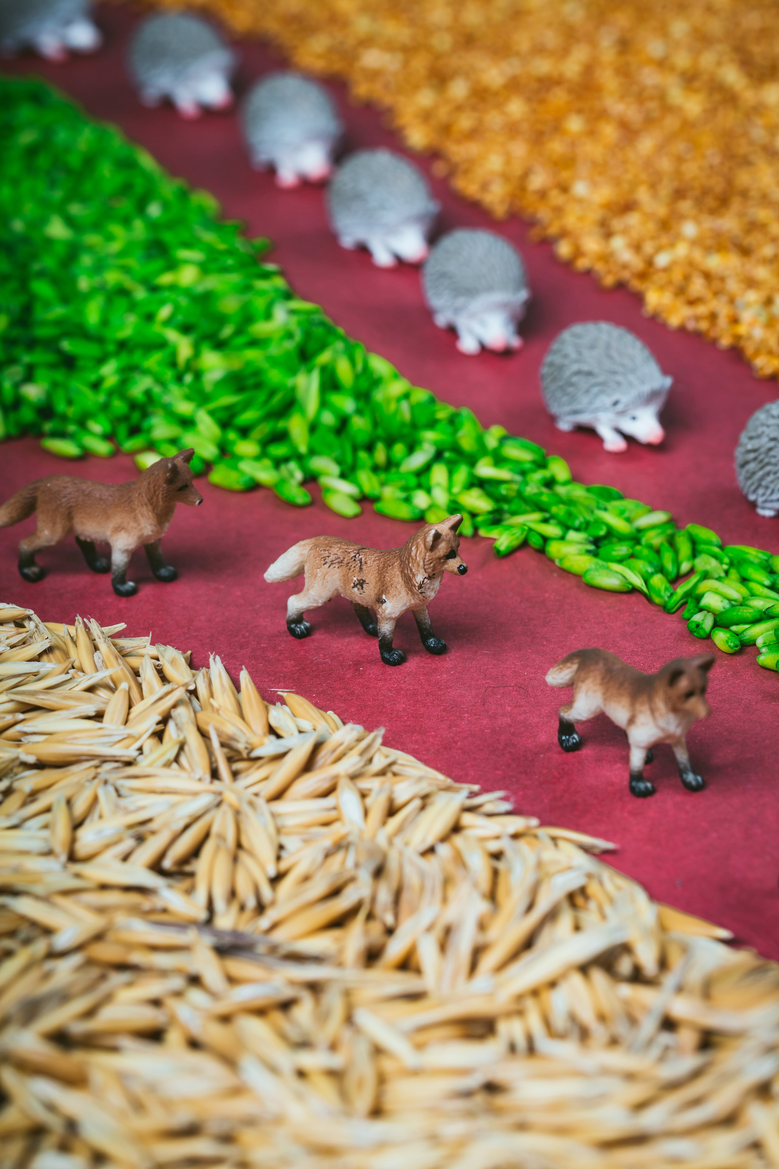 Greifen & Rasseln Petit Boum Petit Boum: Spy Bottle