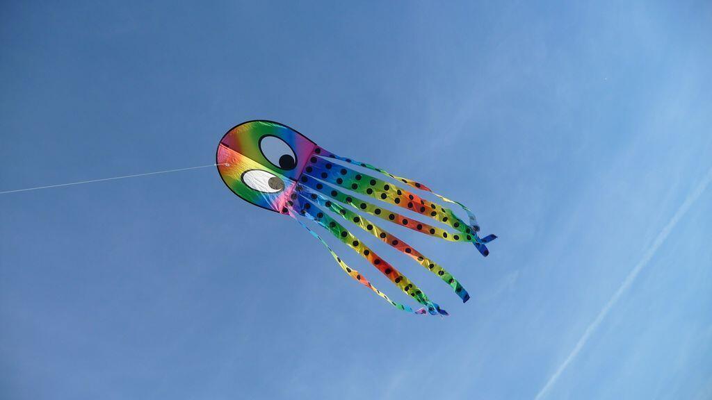 Spielzeug für Draußen elliot Kinderdrachen - Kalle Krake