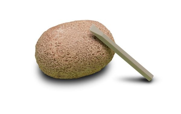 Experiment KOSMOS Dino-Ei, Ausgrabungs-Set mit Mini Dino Sammelfigur, sortiert, 1 Stück