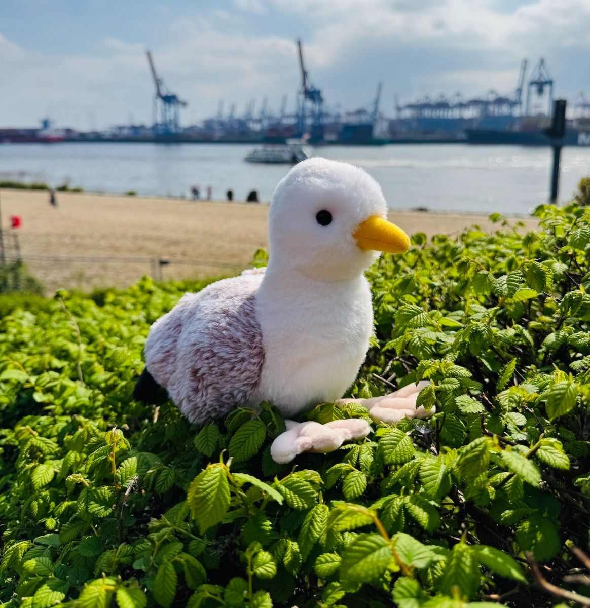 Plüschtier Teddy Hermann Teddy-Herrmann ⎮ Möwe ⎮ 20 cm