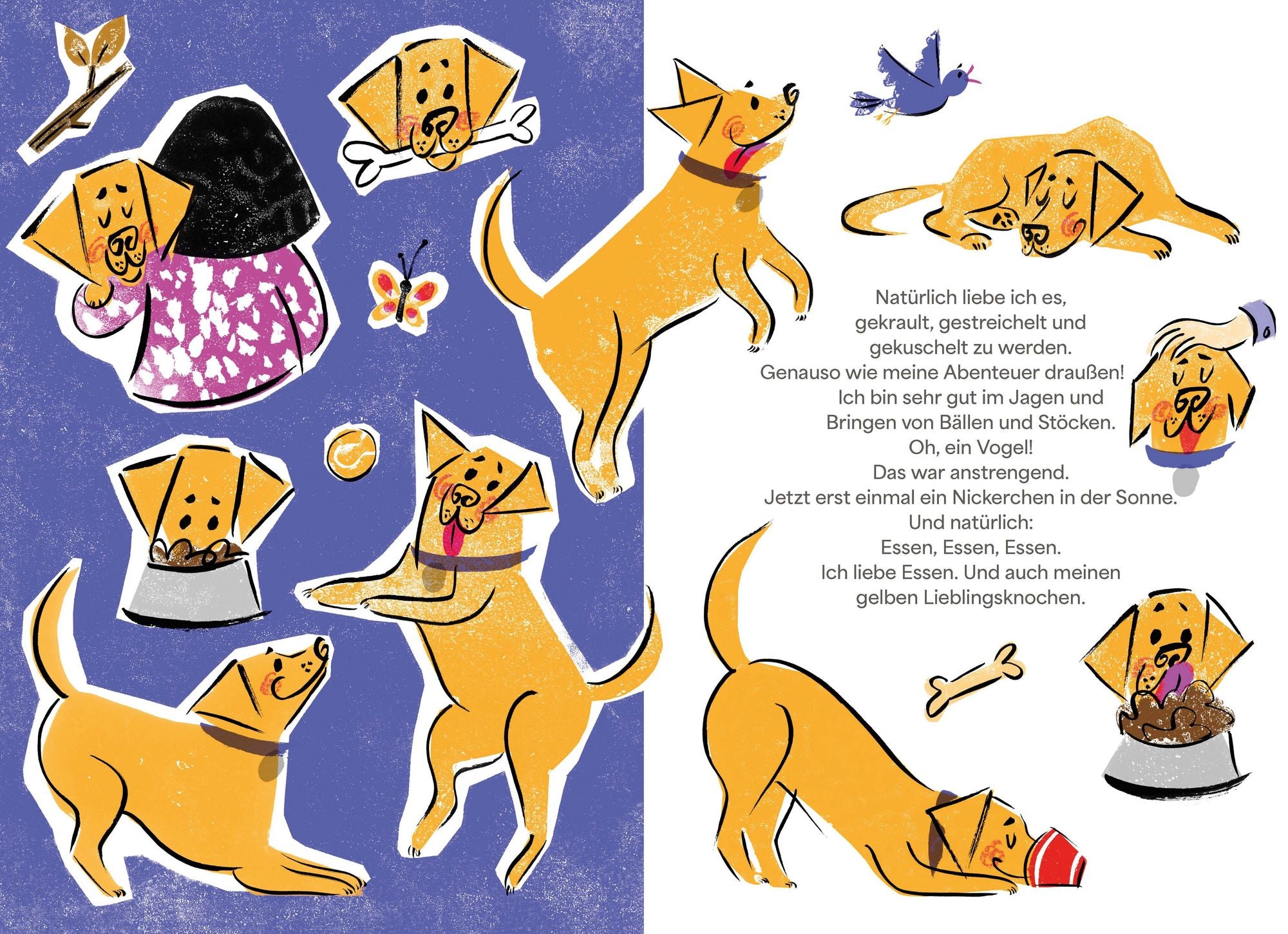 Wuff, ich bin Pommes. Meine Abenteuer als Blindenführhund