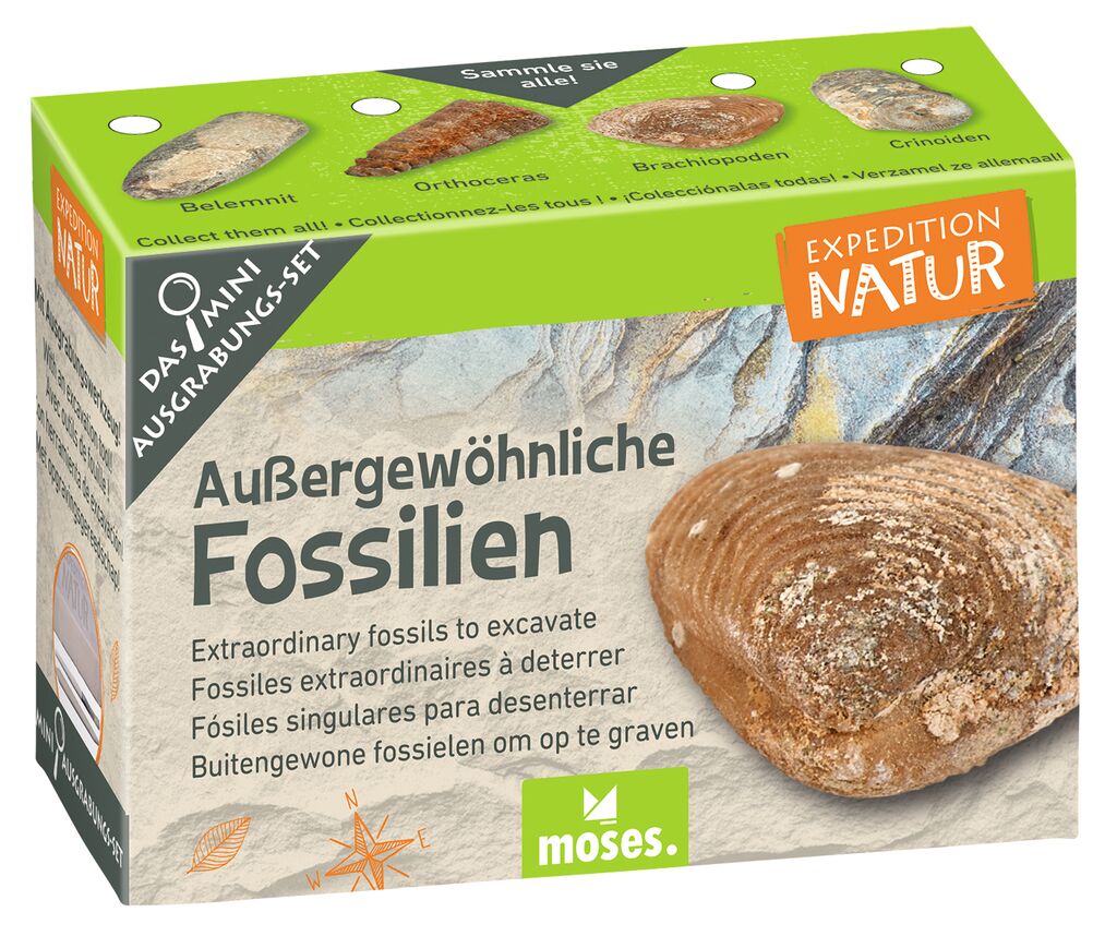 Naturforscher Moses Verlag Expedition Natur Mini-Ausgrabungsset