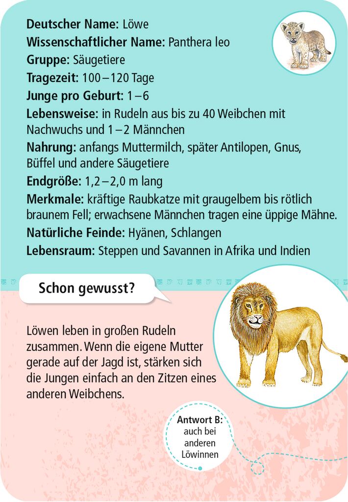 Moses 50 Karten / Pocket Quiz Moses Verlag Expedition Natur 50 Tierkinder