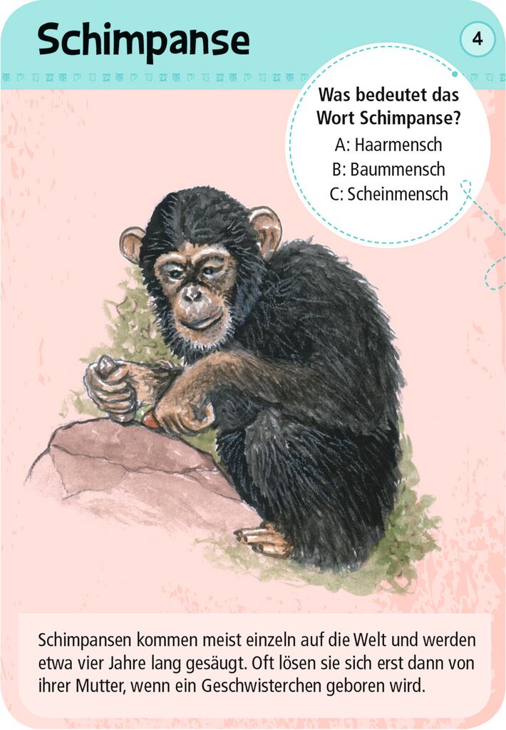 Moses 50 Karten / Pocket Quiz Moses Verlag Expedition Natur 50 Tierkinder