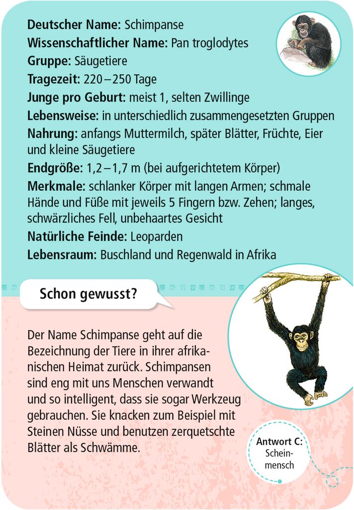 Moses 50 Karten / Pocket Quiz Moses Verlag Expedition Natur 50 Tierkinder