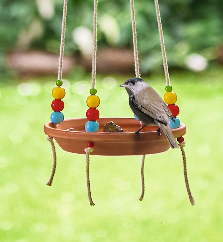 Abenteuer Moses Verlag Krabbelkäfer Vogeltränke