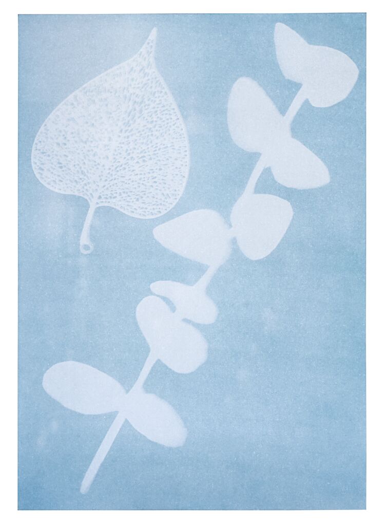 Experiment Moses Verlag PhänoMINT Sonnendruck-Papier A4