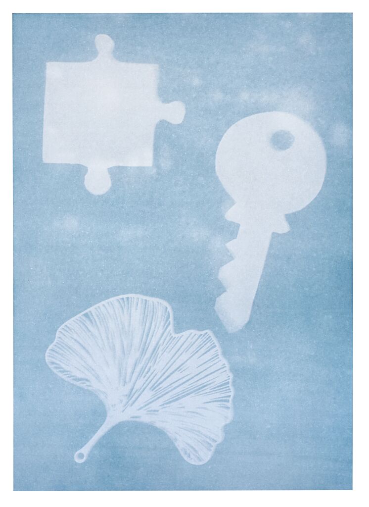 Experiment Moses Verlag PhänoMINT Sonnendruck-Papier A4