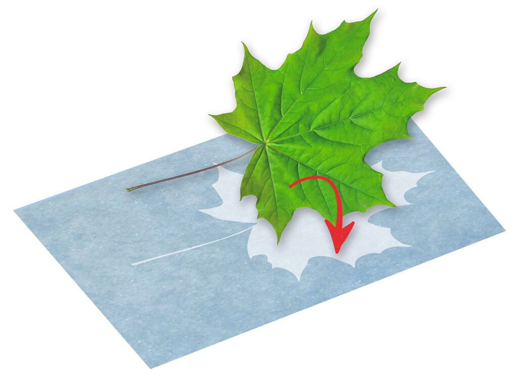 Experiment Moses Verlag PhänoMINT Sonnendruck-Papier A4