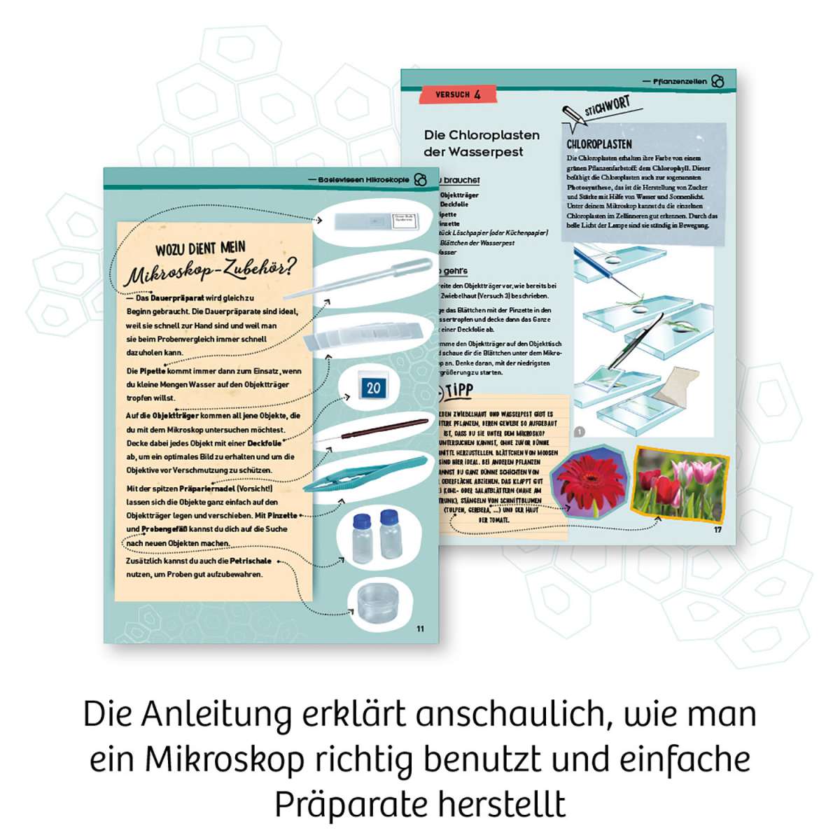 Biologie KOSMOS Entdecker-Mikroskop