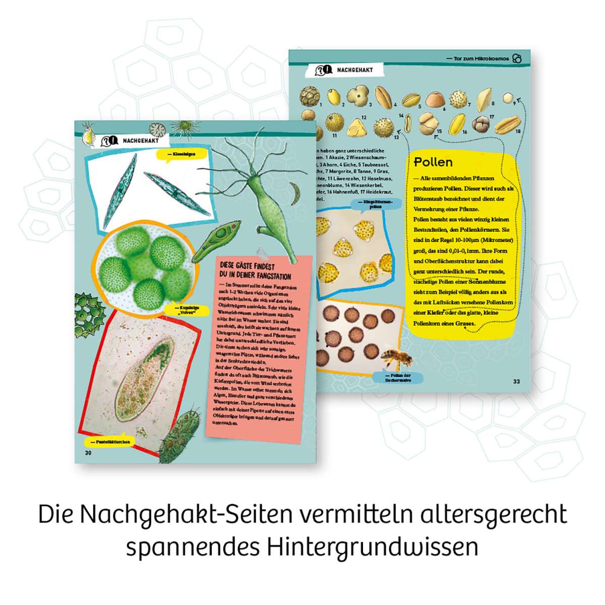 Biologie KOSMOS Entdecker-Mikroskop