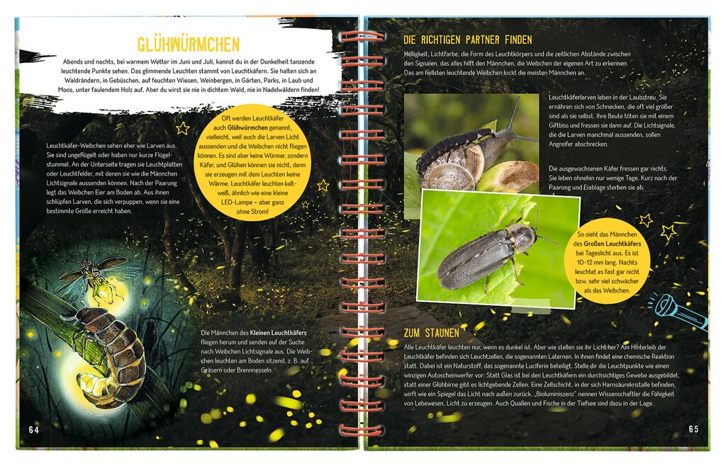 Sachbuch Moses Verlag Expedition Natur: Das große Sommerbuch