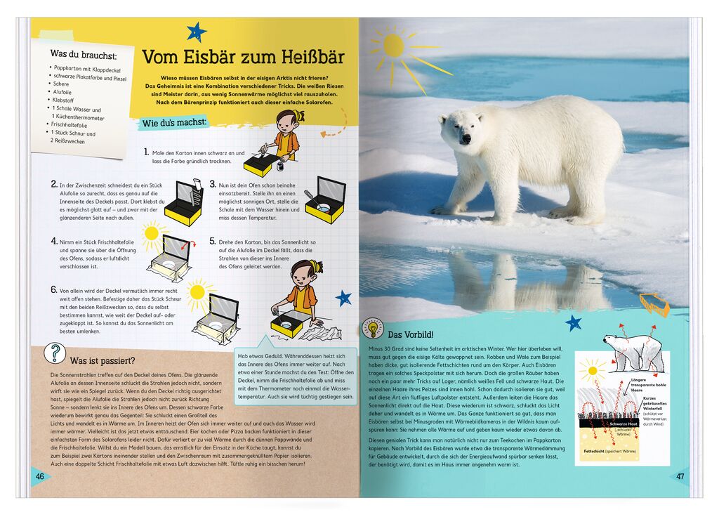 Buch Moses Verlag PhänoMINT Abgeschaut & Nachgebaut